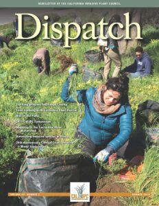 A woman pulls weeds on a hillside