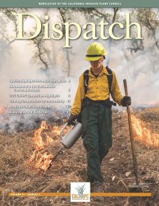 Dispatch newsletter cover with image of a woman in protective fire gear walking a line and setting a prescribed fire with a can. She holds a rake in the other hand and looks down at the fire line.