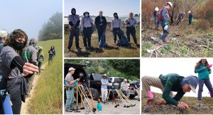 Combo image, clockwise from left: a young woman in a black face mask holds out a strand of goatgrass; five young adults in work clothes smile and hold tools or bags of pulled weeds on a grassy shore; several people in hard hats and work clothes hold hand sprayers and inspect tree roots; a man in long sleeved green shirt bends close to the ground to inspect small plants; several men sit on truck beds and discuss the tools spread at their feet.