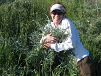 Reaching out to thistles. Photo courtesy D. Garcia