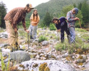 Mapping the spread of knapweed