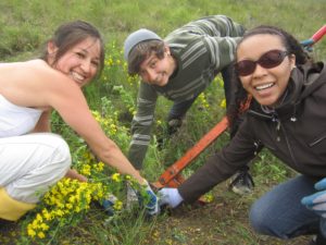 Volunteers make a difference in California. 