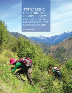 Two women with backpacks on their back bend over to pull weeds on a steep hilside