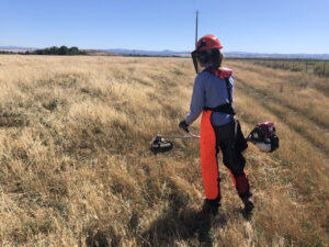 A woman in reflective work gear and helmet uses a string trimmer to control yellow star thistle